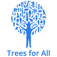 trees for all teambuilding Kingston